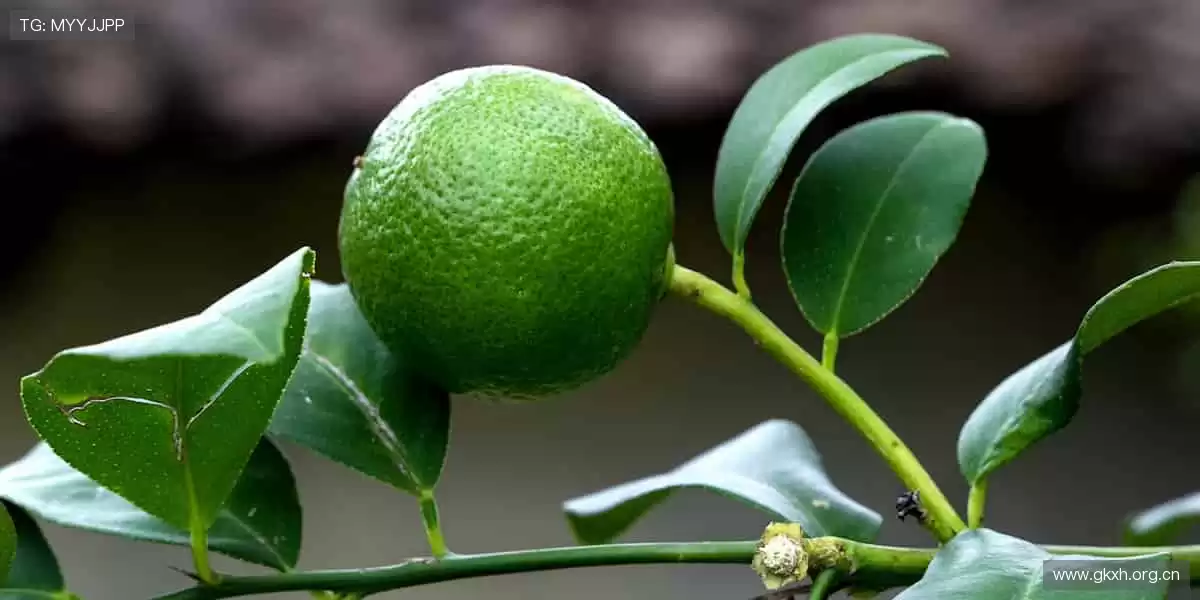 🏃‍♂️报名参赛，成就你的体育梦想！